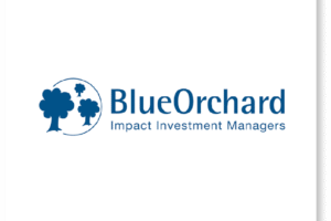 Blueorchard