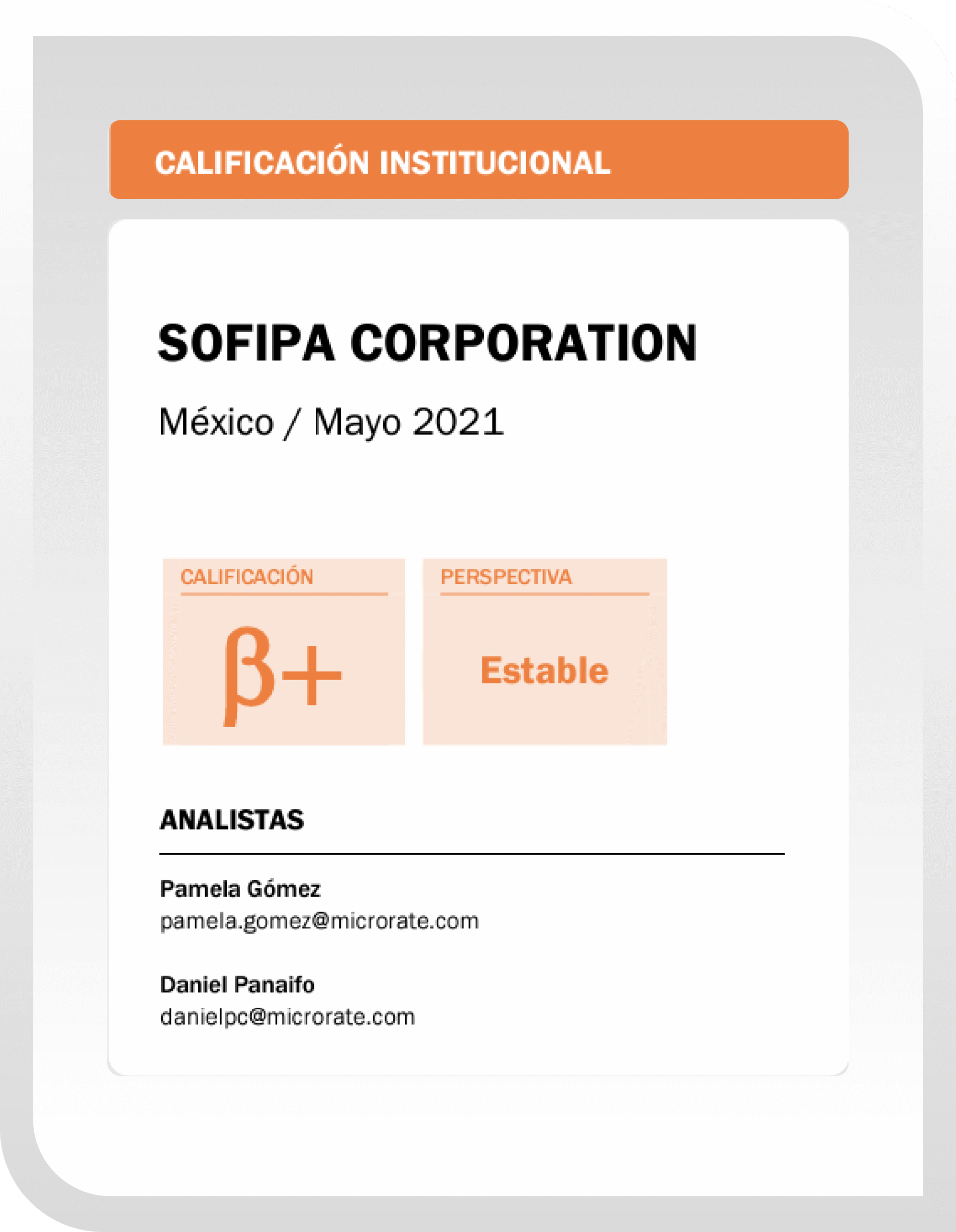 Información adicional 2010