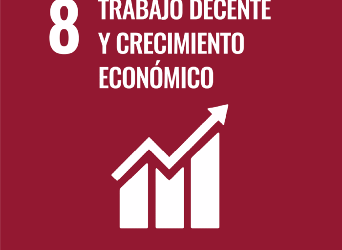 Recurso 163