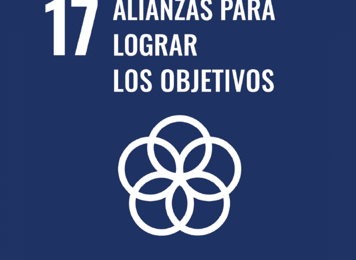 Recurso 164